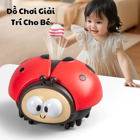 Bọ rùa thổi bóng