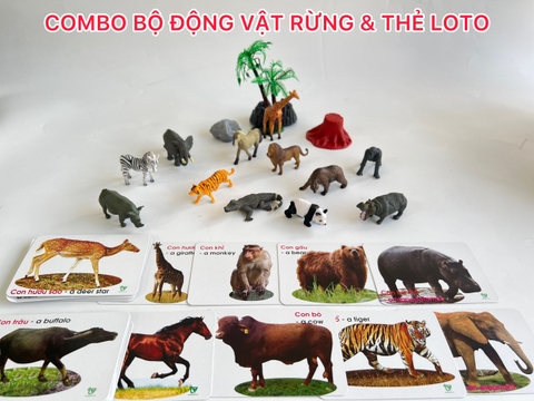 Hộp nhận biết 12 con vật rừng