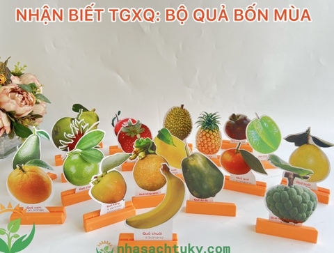 Mô hình 20 hoa quả giấy