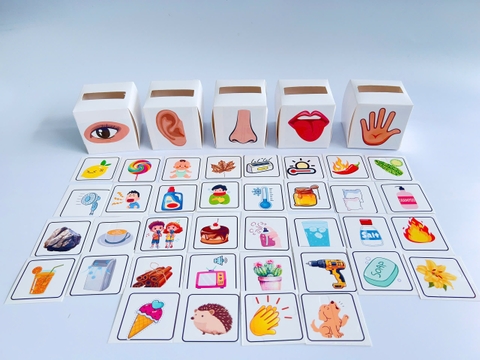 Học liệu 5 giác quan