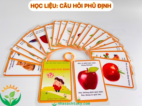 Câu hỏi phủ định (mẫu 2)