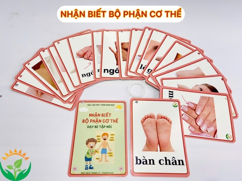 Flashcard bộ phận cơ thể