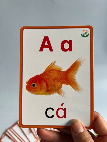 Flashcard học chữ cái