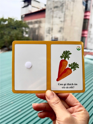 Học liệu Con gì ăn gì