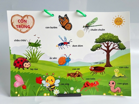 Học liệu Sách động vật 7 chủ đề A4 CÁN BÓNG