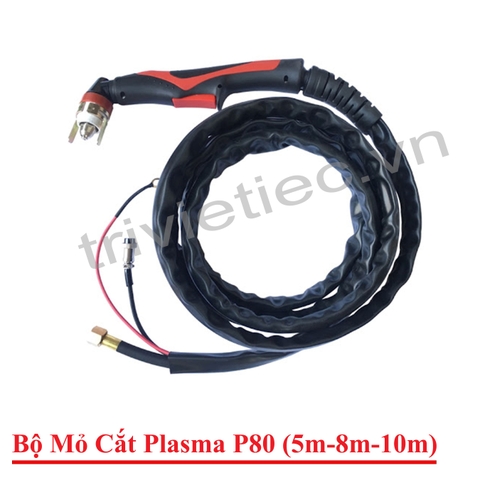 Súng cắt Plasma P80 ( CUT 80)