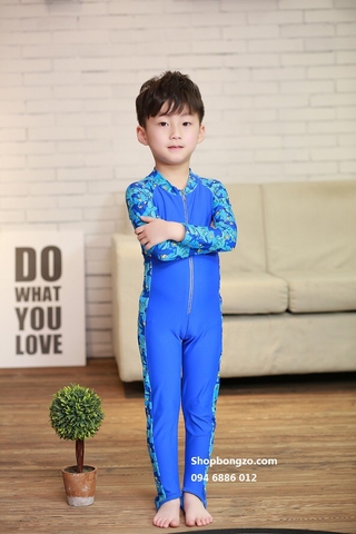 Bộ bơi dài liền xanh, hình cá