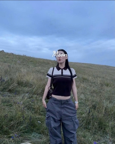 Áo Len Nâu Phối Cổ Polo