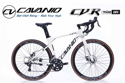 Xe đạp đua CAVANIO CV-R: Xe Nhôm Giá tốt nhất 2026