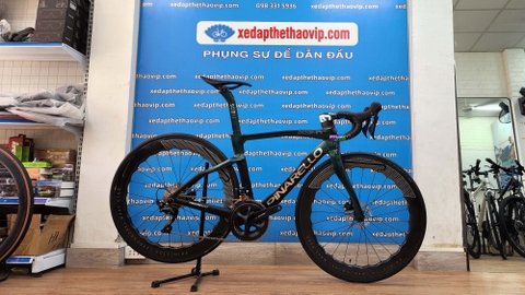 Xe đạp dựng Pina F14 xanh lá đổi màu, phanh đĩa, Shimano R7020, vành Princeton đùm HubSmith Ceramic, yên Zeus carbon, Lốp Ultrasport 700x25