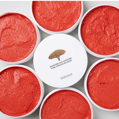 ☆SHEGAIA GUA ELEVATE AURA MASK 2個☆ ALOHA FULL FACE MASK & FIN SET