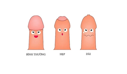 Dài Bao Quy Đầu Ảnh Hưởng Gì Khi Quan Hệ? Giải Thích Từ Góc Nhìn Nam Khoa