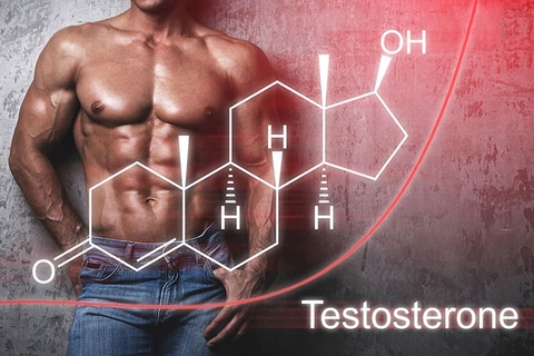 Nam Giới Suy Giảm Testosterone: Lý Do Và Phương Pháp Khôi Phục Phong Độ