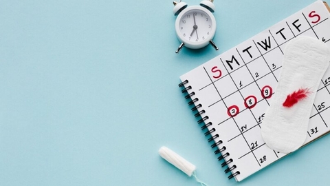 Thời Điểm Quan Hệ Tình Dục Tốt Nhất Trong Ngày Và Theo Chu Kỳ