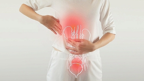 Người Bị Viêm Đường Tiết Niệu Cần Kiêng Gì, Bổ Sung Gì Để Mau Bình Phục?