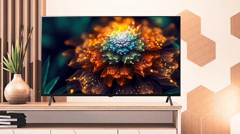 Smart Tivi LG OLED 4K 65 inch OLED65A2PSA