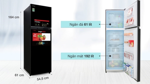 Tủ Lạnh Toshiba Inverter 253 Lít GR-B31VU (SK)