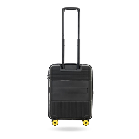 Vali National Geographic N221HA