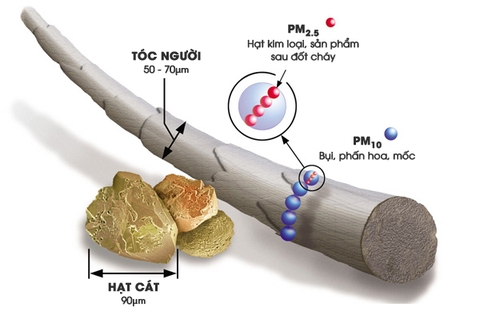 Bụi mịn PM2.5 là gì? Tác hại và cách phòng tránh bụi mịn PM2.5