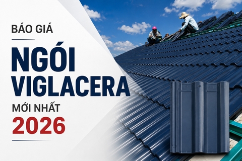 Báo Giá Ngói Viglacera Mới Nhất 2026