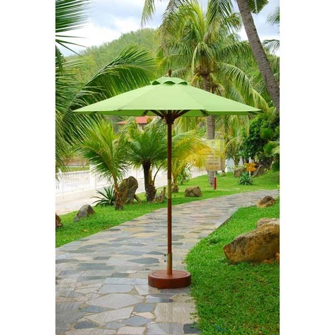 CÂY DÙ SƠN THƯỜNG