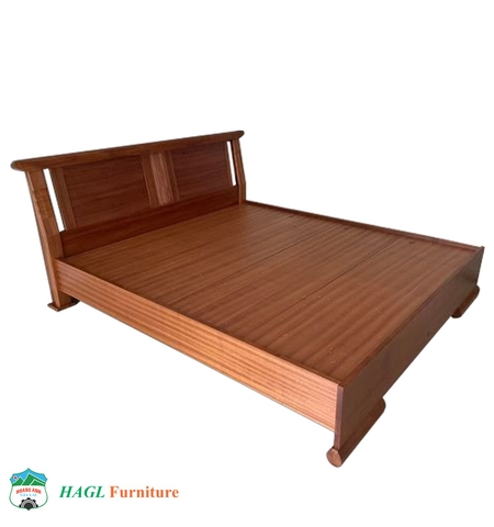 GIƯỜNG HN3 CẢI TIẾN VẠT PHẢN