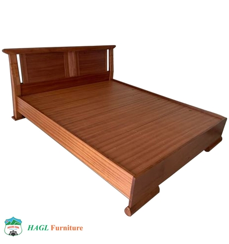 GIƯỜNG HN3 CẢI TIẾN VẠT PHẢN