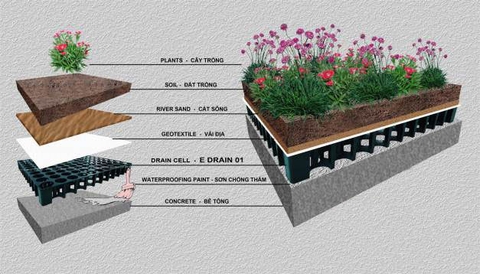 Cách xử lý chống thấm cho vườn sân thượng, vườn ban công