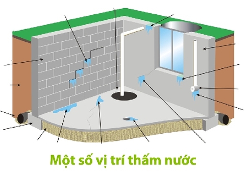 Nguyên Nhân Và Cách Chống Thấm Dột Tường Nhà Chuyên Nghiệp Hiệu Quả Triệt Để