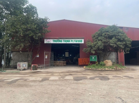 TTPlywood Expands With Its Second Factory – A Strategic Move Towards Sustainable Growth