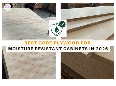 Best Core Plywood for Moisture Resistant Cabinets in 2026