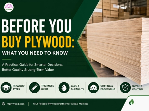 Before You Buy Plywood: Types, Thickness & Buying Guide | TT Plywood