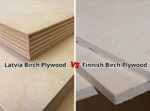 European Birch Plywood in 2025: Finnish & Latvian Quality vs Vietnam’s Rising FSC Alternative