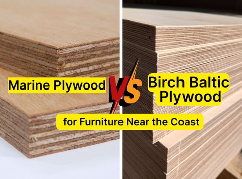 Marine Plywood vs Baltic Birch for Furniture Near the Coast