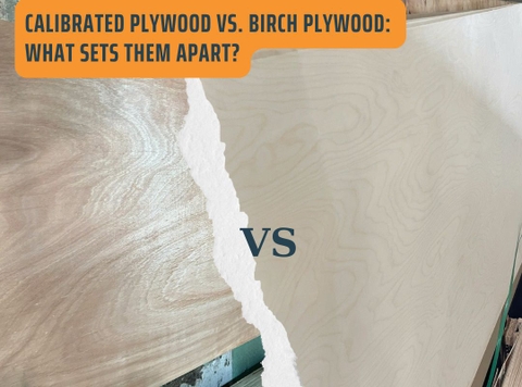 Calibrated Plywood vs. Birch Plywood: What Sets Them Apart?