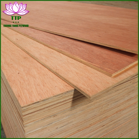 COMMERCIAL PLYWOOD - BINTANGOR FACE