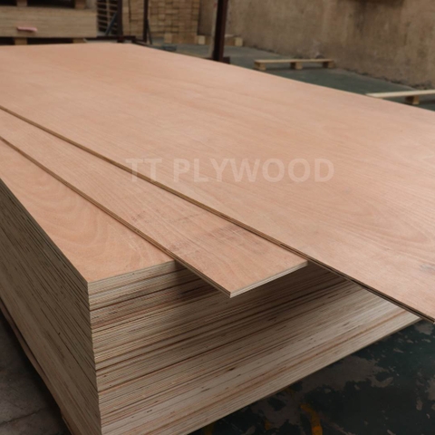 Okuome Commercial Plywood 17.5mm Thickness