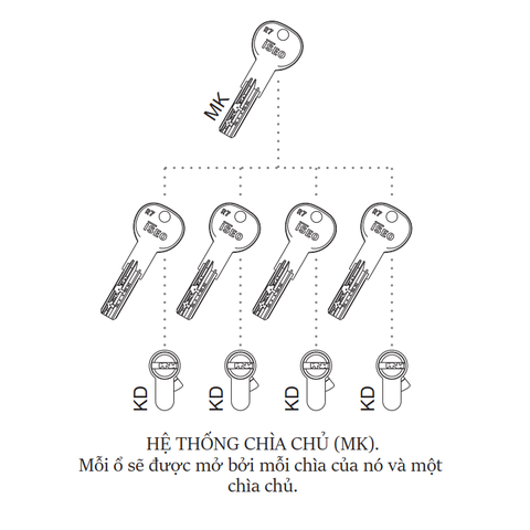 Hệ Thống Chìa Chủ - Master Key