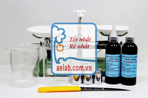 Bộ dụng cụ chứng minh thân vận chuyển nước