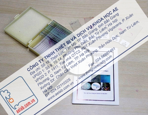 Bộ dụng cụ quan sát tế bào
