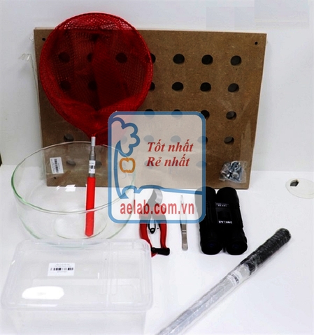 Bộ dụng cụ thu thập và quan sát sinh vật ngoài thiên nhiên