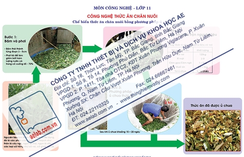Chế biến thức ăn chăn nuôi bằng phương pháp ủ chua