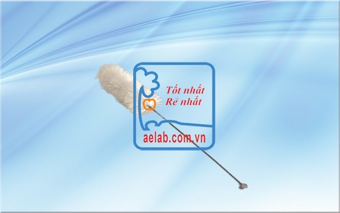 Chổi rửa ống nghiệm