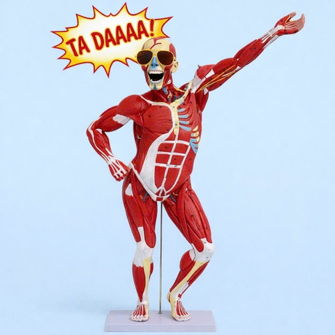 Mô Hình Hệ Cơ (Lớp 2)