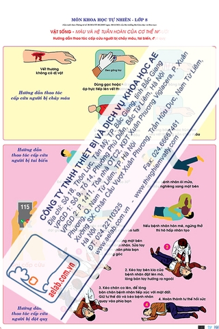 Hướng dẫn thao tác cấp cứu người bị chảy máu, tai biến, đột quỵ (Tranh giấy)