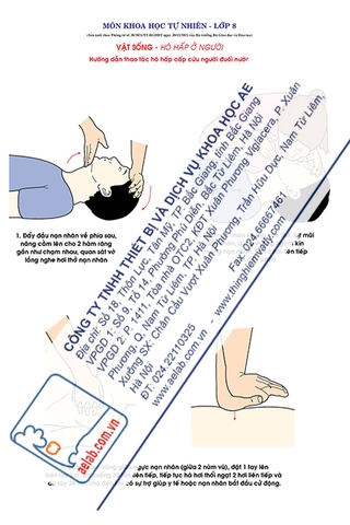 Hướng dẫn thao tác hô hấp nhân tạo, cấp cứu người đuối nước (Tranh giấy)