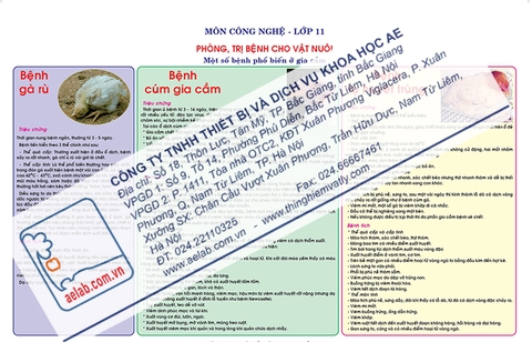 Một số bệnh phổ biến ở gia cầm