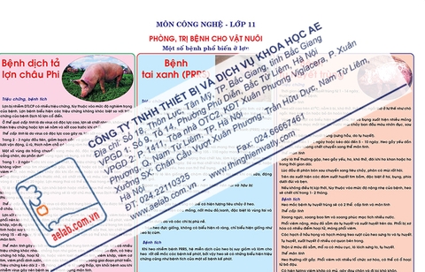 Một số bệnh phổ biến ở lợn