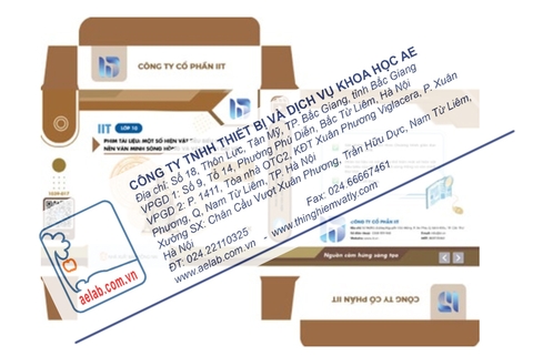 Phim tài liệu: Một số hiện vật tiêu biểu của nền văn minh sông Hồng và văn minh Đại Việt