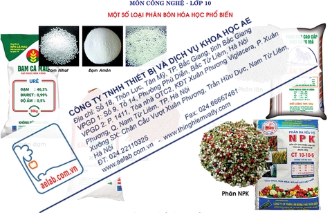 Một số loại phân bón hóa học phổ biến